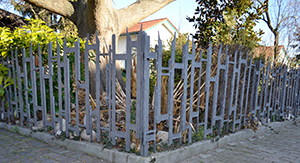 %_tempFileNamezaun_DSC0495%